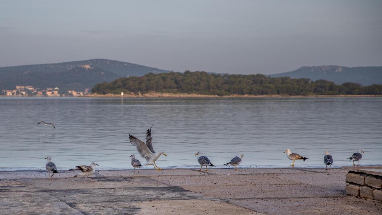 Apartmani Dina Biograd Na Moru Exterior photo